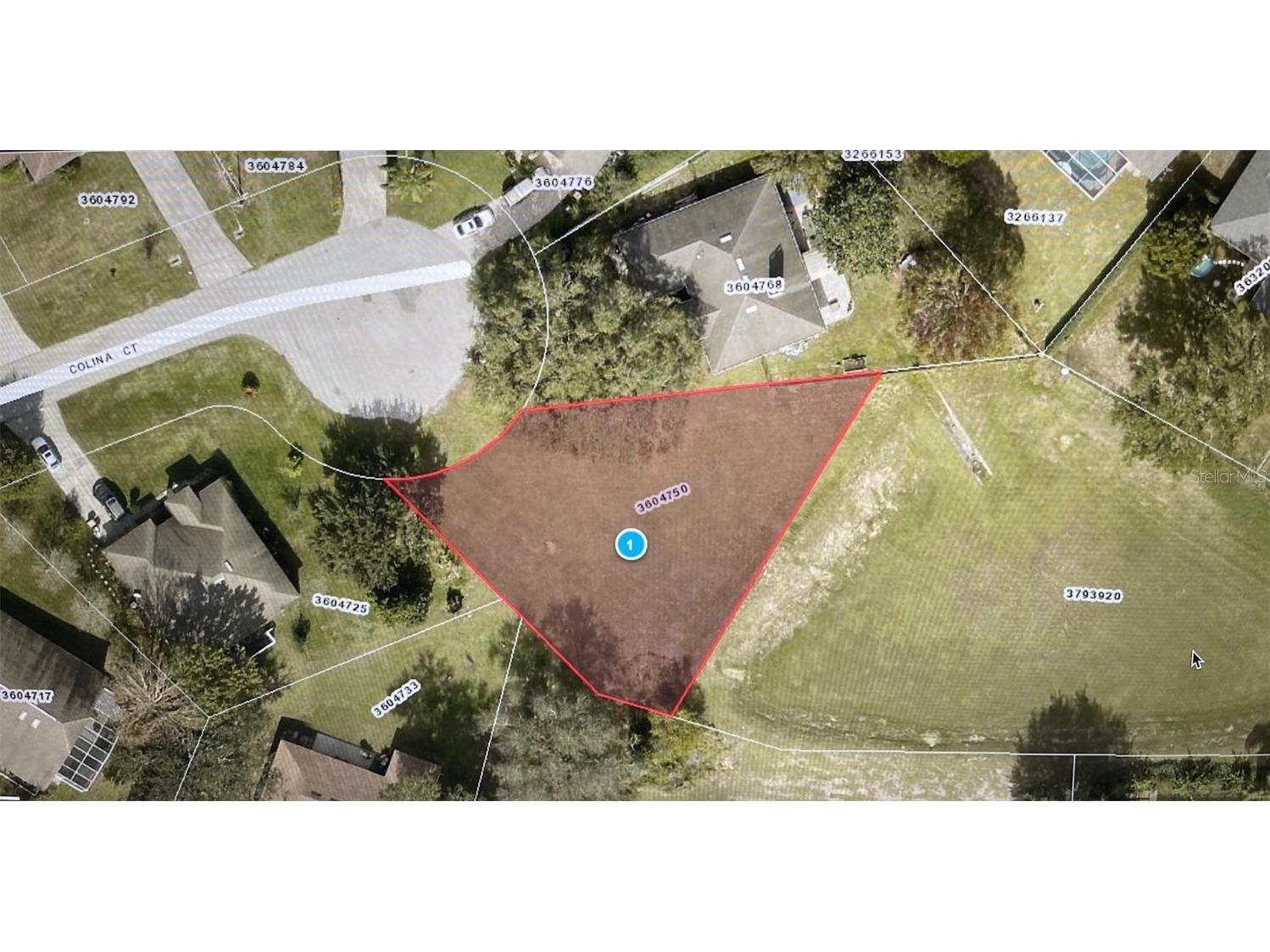 Colina Court Clermont FL 34711 - LAKE LOUISA O6287712 image1