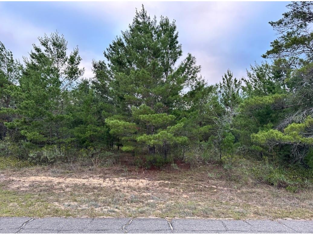 Colmart Drive Chipley FL 32428 OM714273 image1