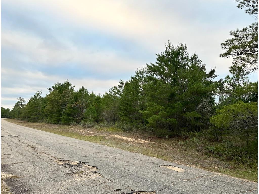 Colmart Drive Chipley FL 32428 OM714273 image2