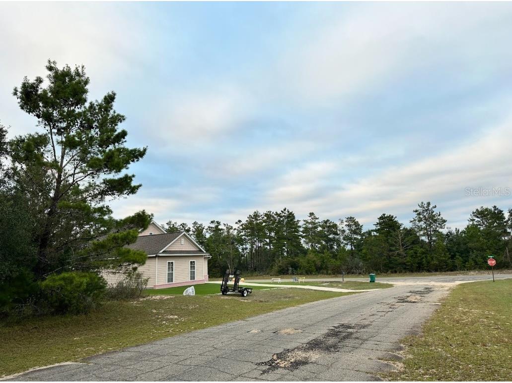 Colmart Drive Chipley FL 32428 OM714273 image4