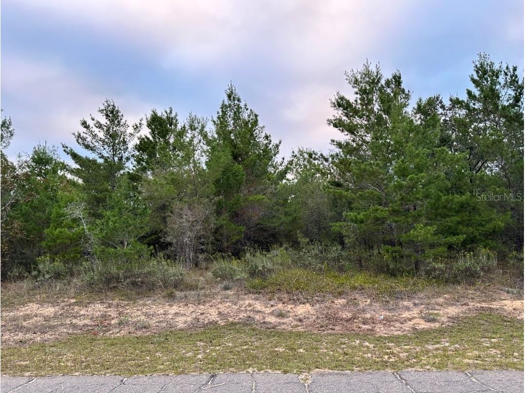 Colmart Drive Chipley FL 32428 OM714273 image5