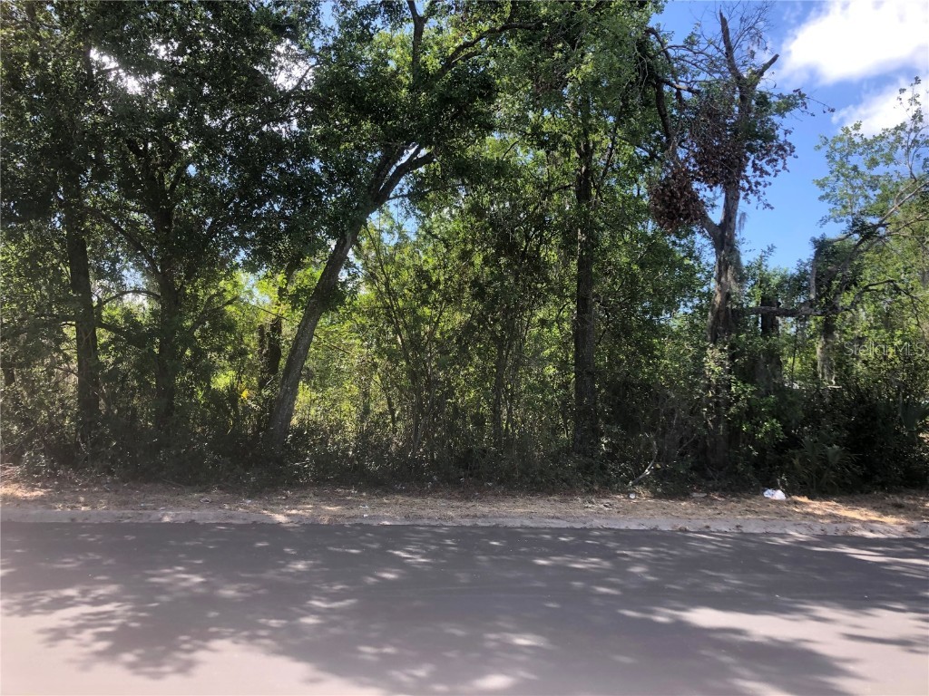 Colonial Avenue Lakeland FL 33801 K4902218 image1