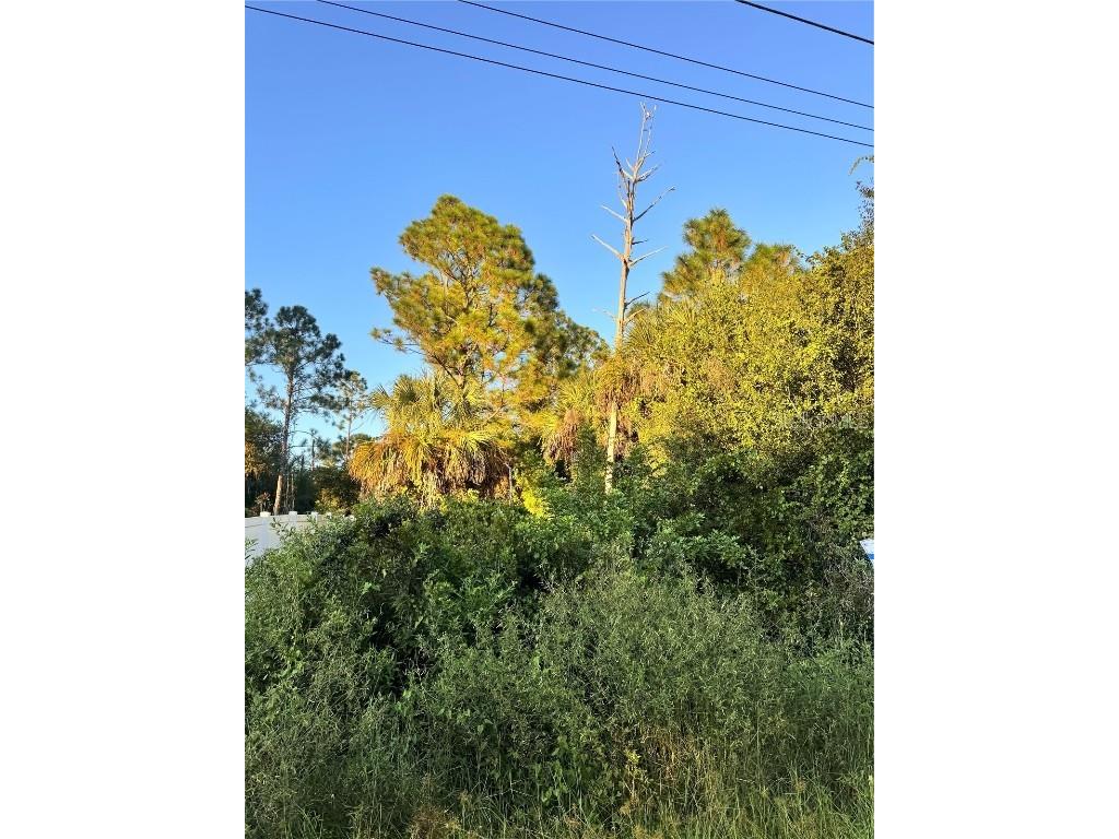 Colorade Avenue North Port FL 34286 P4936357 image2