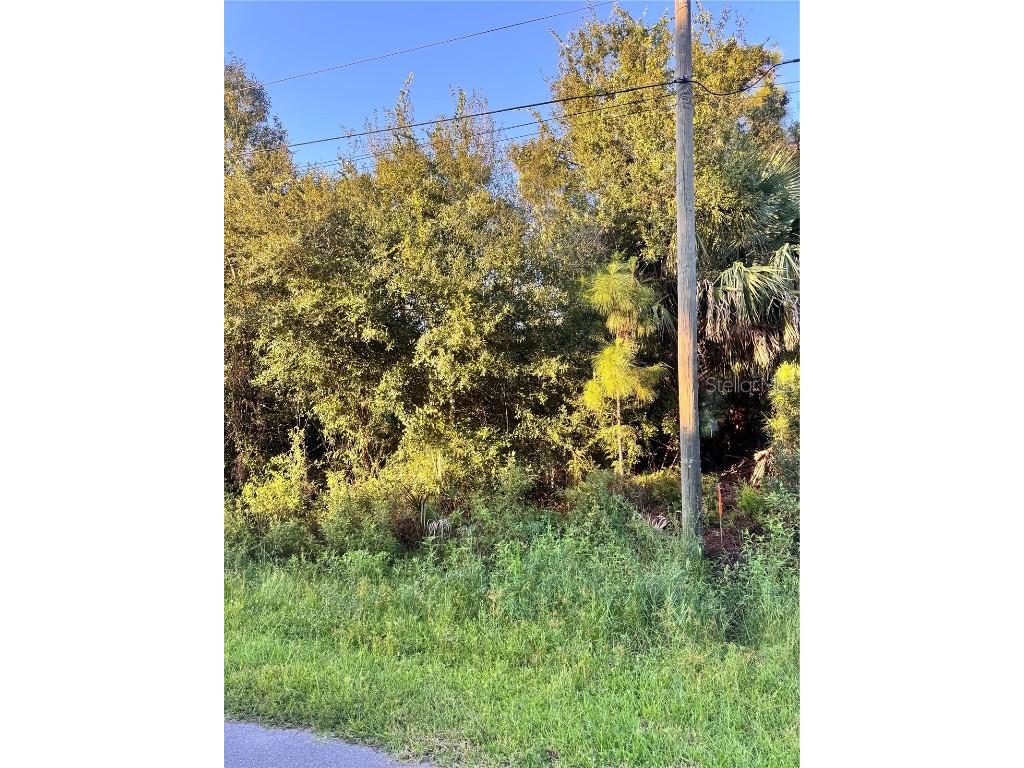 Colorade Avenue North Port FL 34286 P4936357 image3