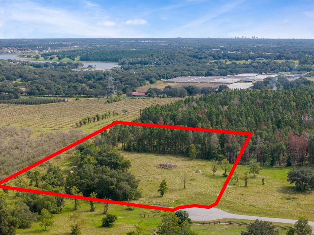 Colt Lane Winter Garden FL 34787 O6148645 image1