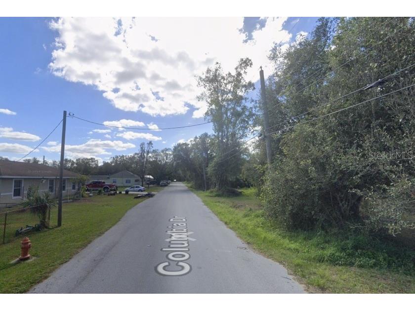 Columbia Drive Mulberry FL 33860 TB8446084 image2