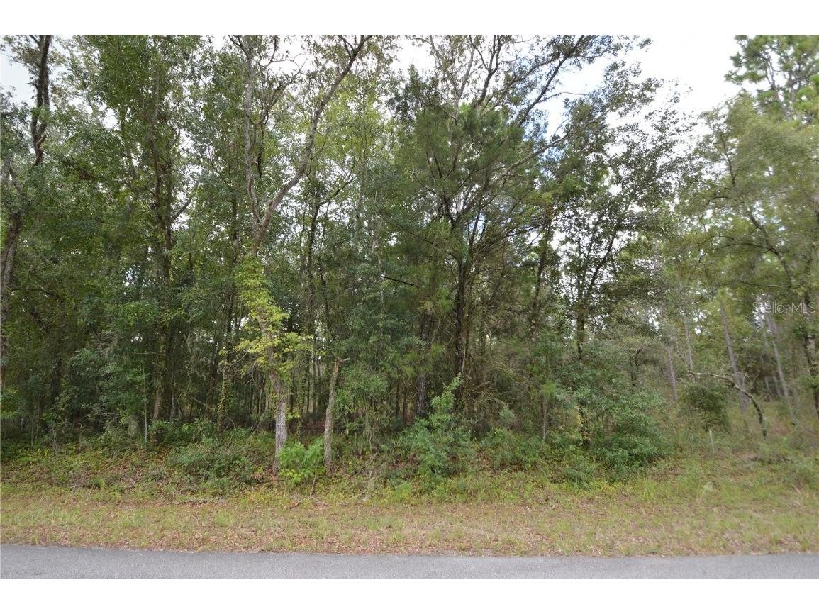 Columbine Avenue Dunnellon FL 34430 OM643354 image1