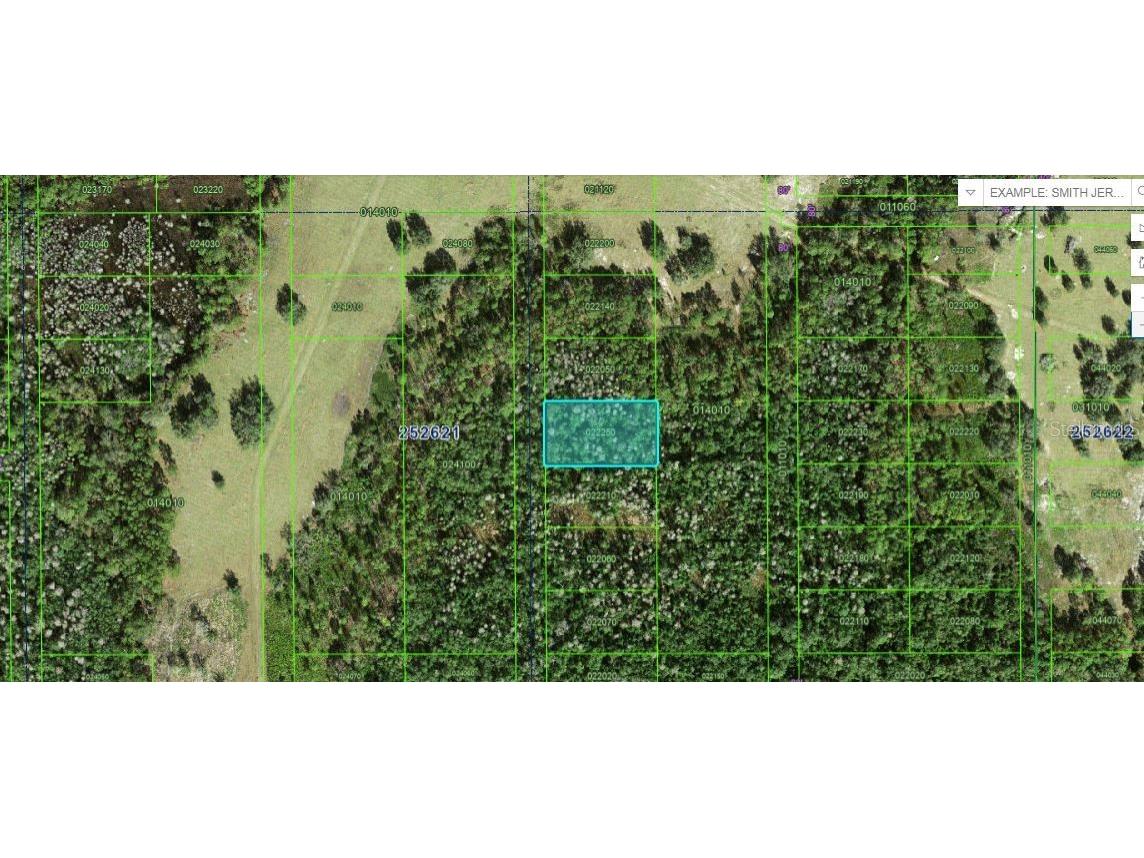 Commanwealth Ave N Polk City FL 33868 O6264401 image2