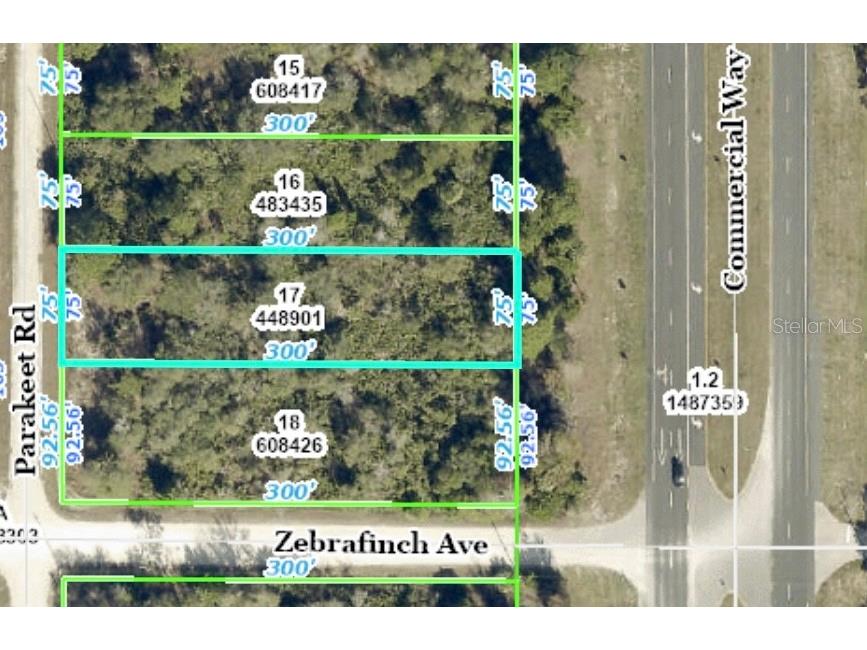 Commercial Way Weeki Wachee FL 34614 O6168735 image1
