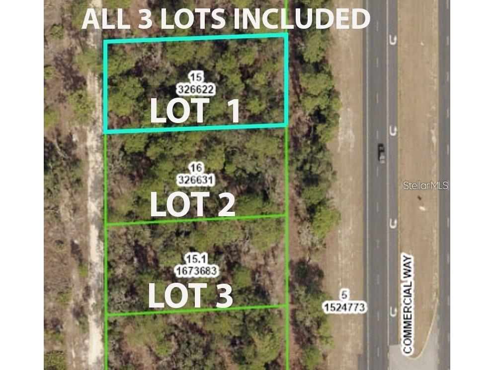 Commercial Way Weeki Wachee FL 34614 W7883946 image1