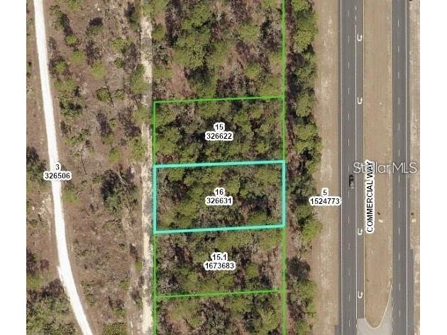 Commercial Way Weeki Wachee FL 34614 W7883946 image2