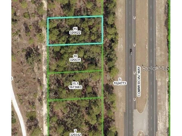 Commercial Way Weeki Wachee FL 34614 W7883946 image4