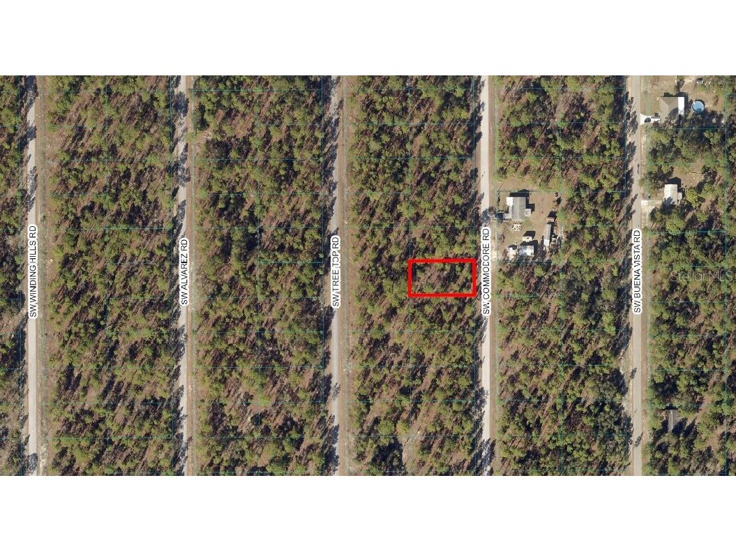 Commodore Dunnellon FL 34431 C7469272 image1