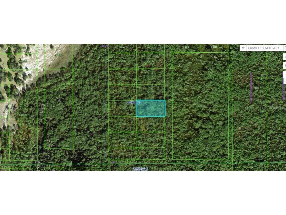 Commonweallth Ave N Polk City FL 33868 O6264425 image2