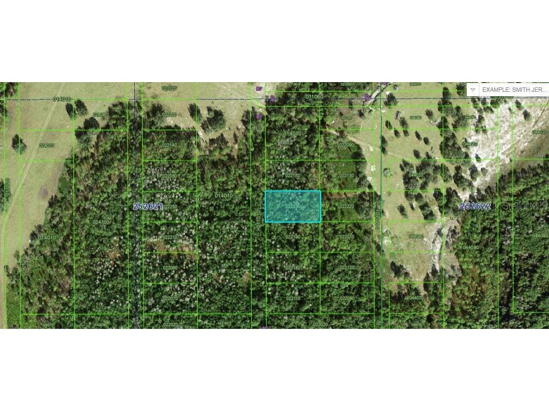 Commonwealth Ave N Avenue N Polk City FL 33868 O6264131 image1