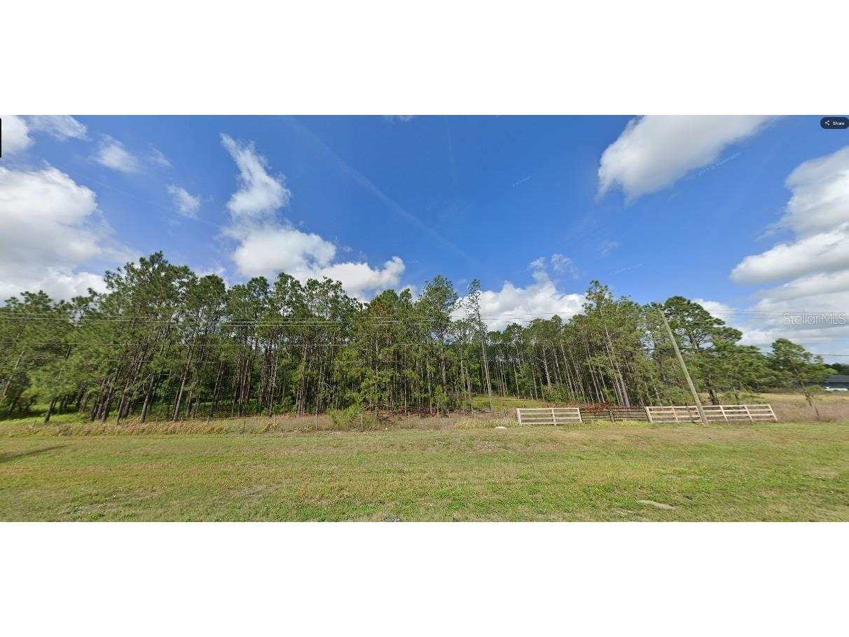 Commonwealth Ave N Polk City FL 33868 O6263837 image2