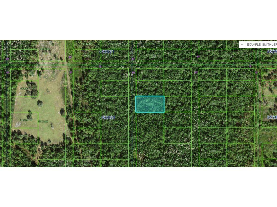 Commonwealth Ave N Polk City FL 33868 O6264127 image1