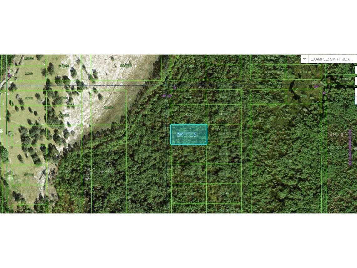 Commonwealth Ave N Polk City FL 33868 O6264134 image1