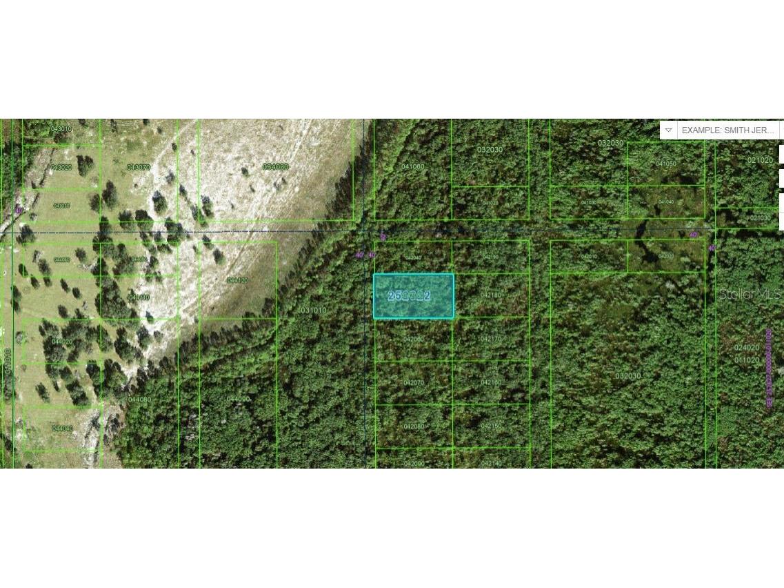 Commonwealth Ave N Polk City FL 33868 O6264136 image1