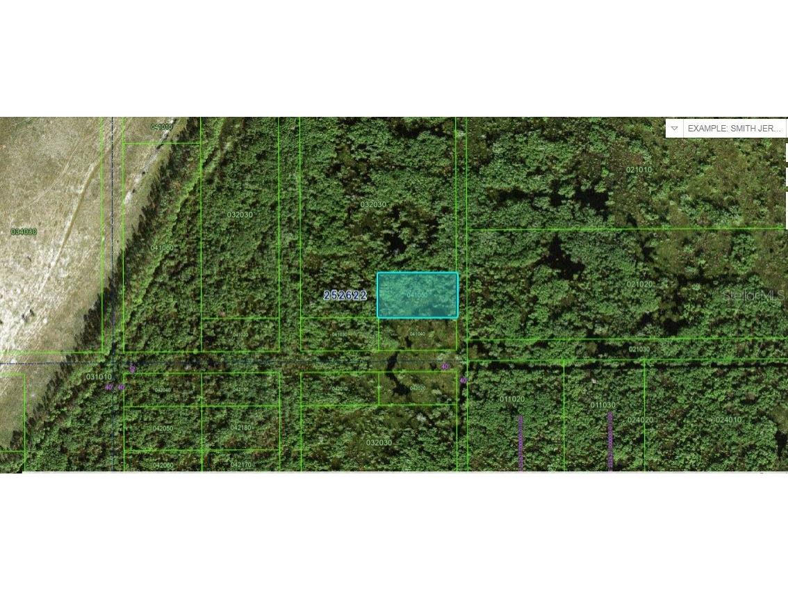 Commonwealth Ave N Polk City FL 33868 O6264140 image2