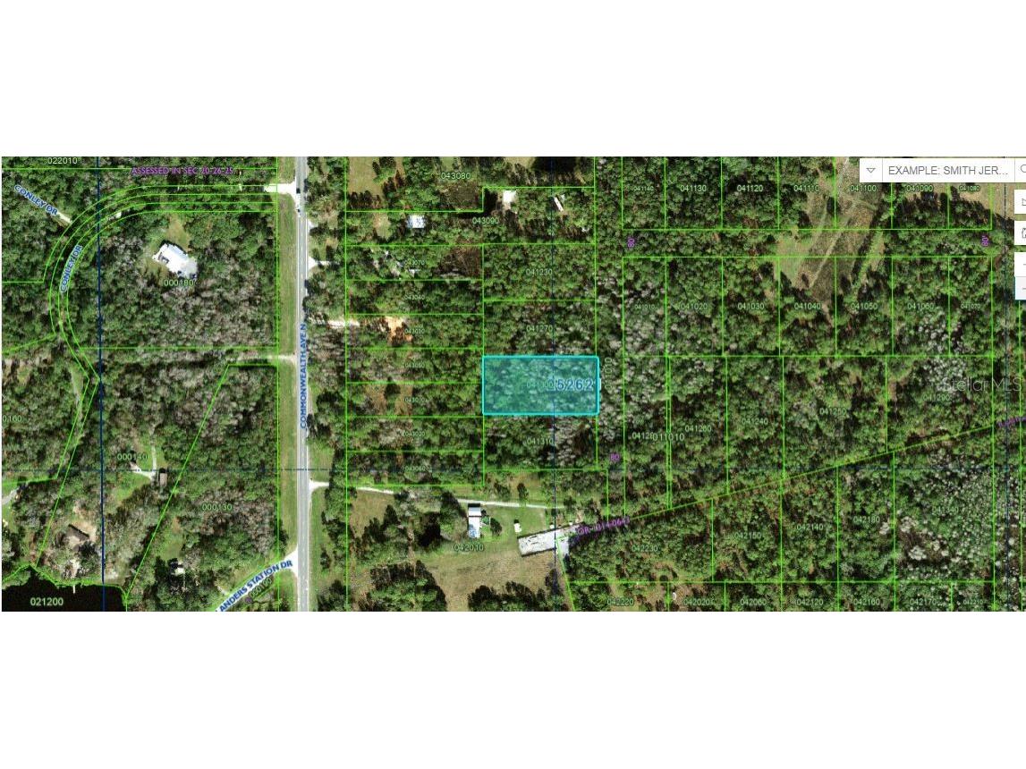 Commonwealth Ave N Polk City FL 33868 O6264390 image2