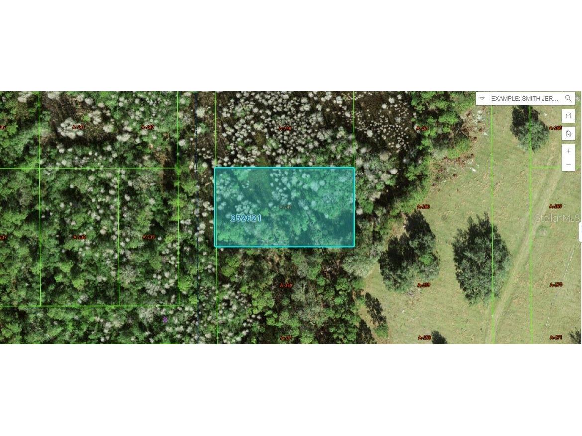 Commonwealth Ave N Polk City FL 33868 O6264394 image1