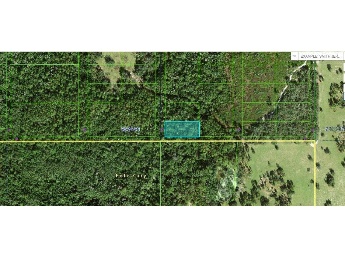 Commonwealth Ave N Polk City FL 33868 O6264404 image2