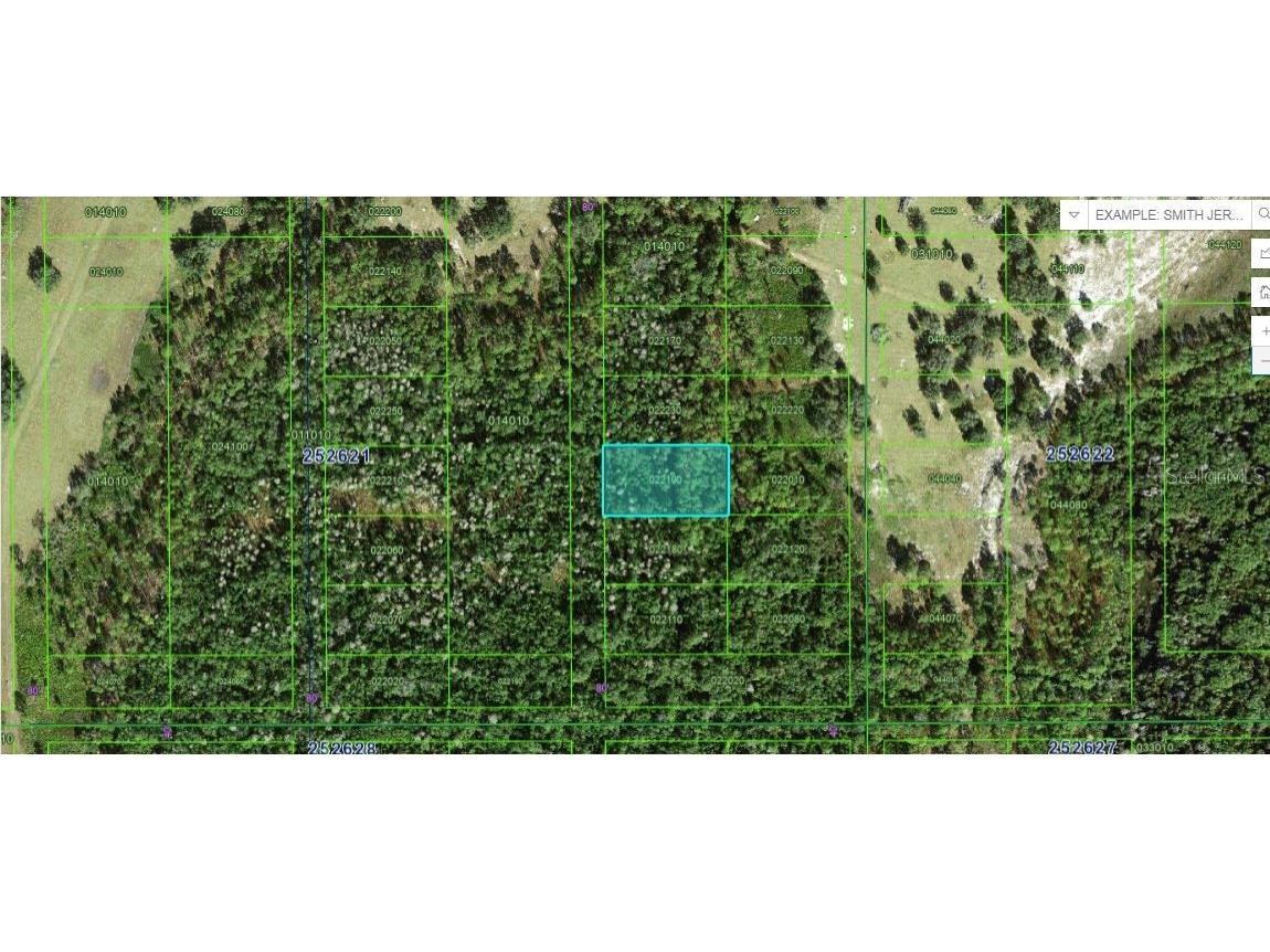 Commonwealth Ave N Polk City FL 33868 O6264405 image2