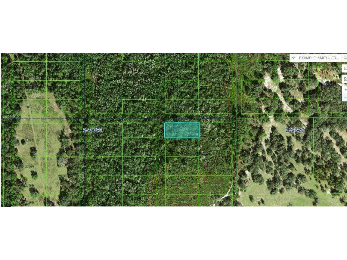 Commonwealth Ave N Polk City FL 33868 O6264408 image2