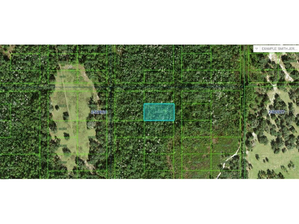 Commonwealth Ave N Polk City FL 33868 O6264411 image2