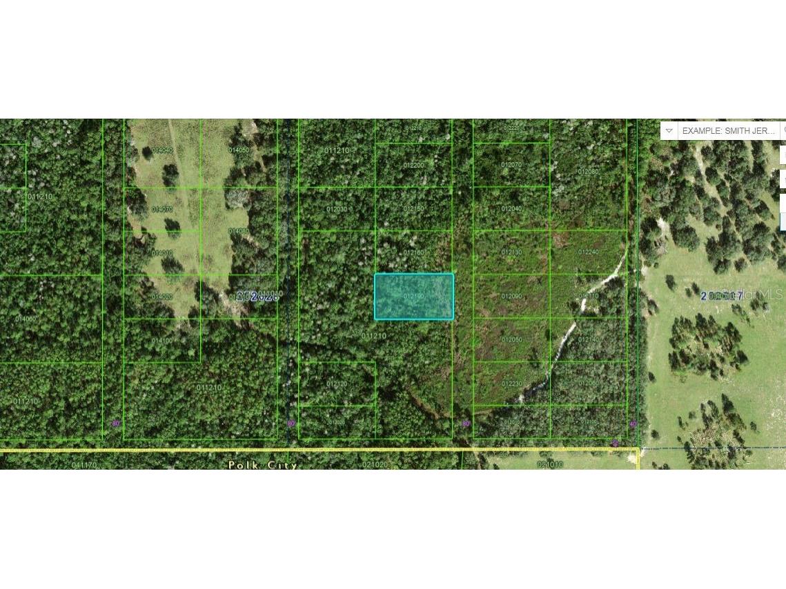 Commonwealth Ave N Polk City FL 33868 O6264416 image2