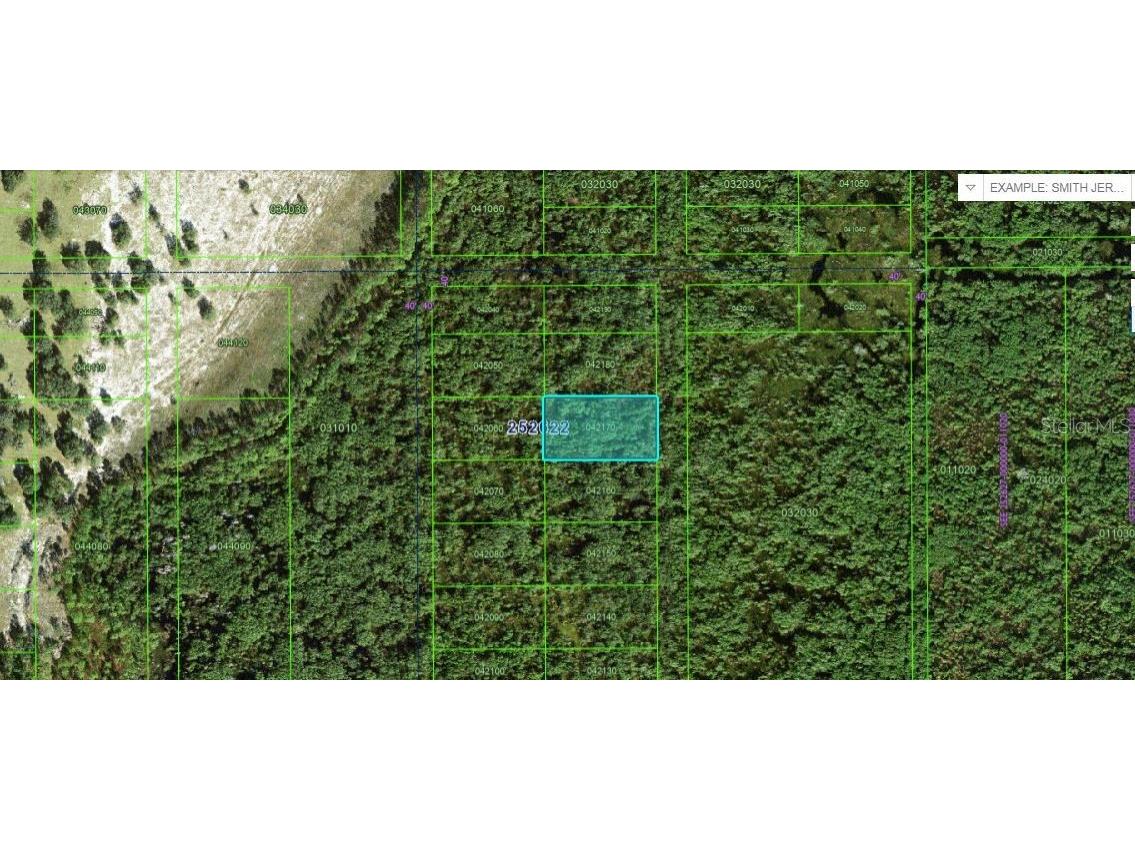 Commonwealth Ave N Polk City FL 33868 O6264421 image2