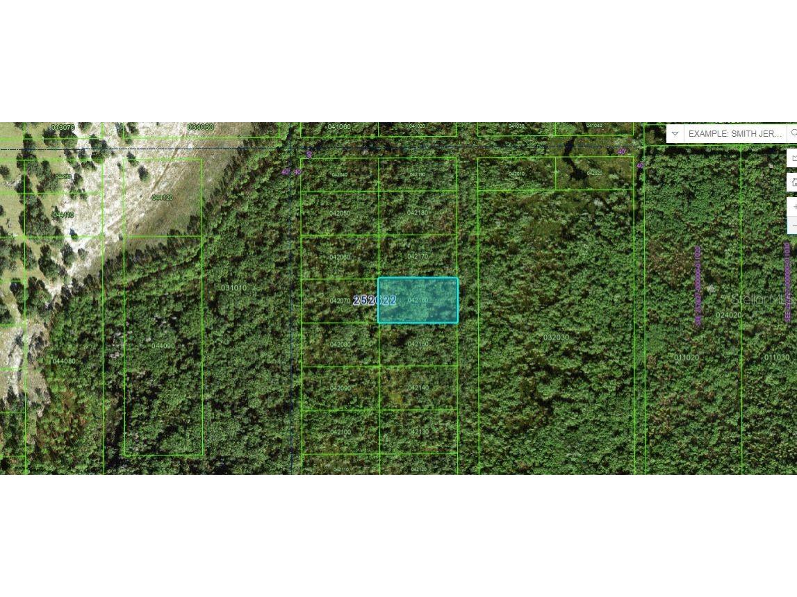 Commonwealth Ave N Polk City FL 33868 O6264423 image2