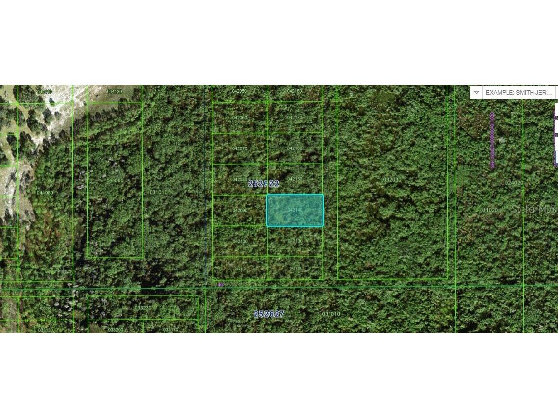 Commonwealth Ave N Polk City FL 33868 O6264426 image2