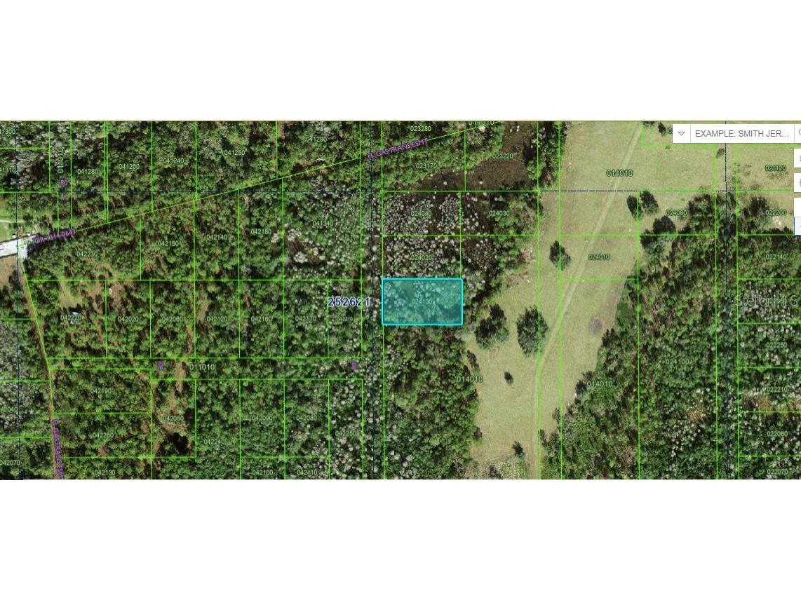 Commonwealth Ave N Polk City FL 33868 O6264427 image2