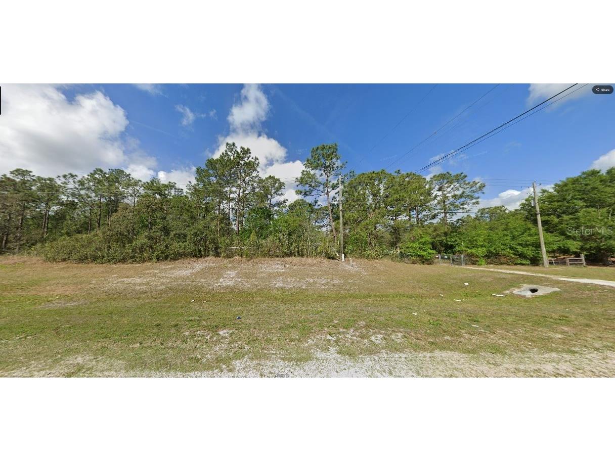 Commonwealth Ave N Polk City FL 33868 O6265434 image2