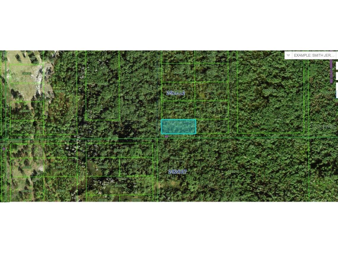 Commonwealth Ave N Polk City FL 33868 O6266008 image2