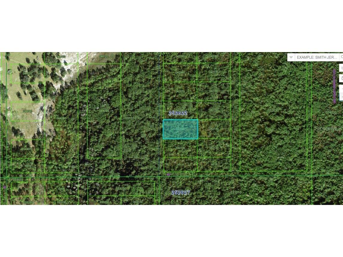 Commonwealth Ave N Polk City FL 33868 O6266009 image2