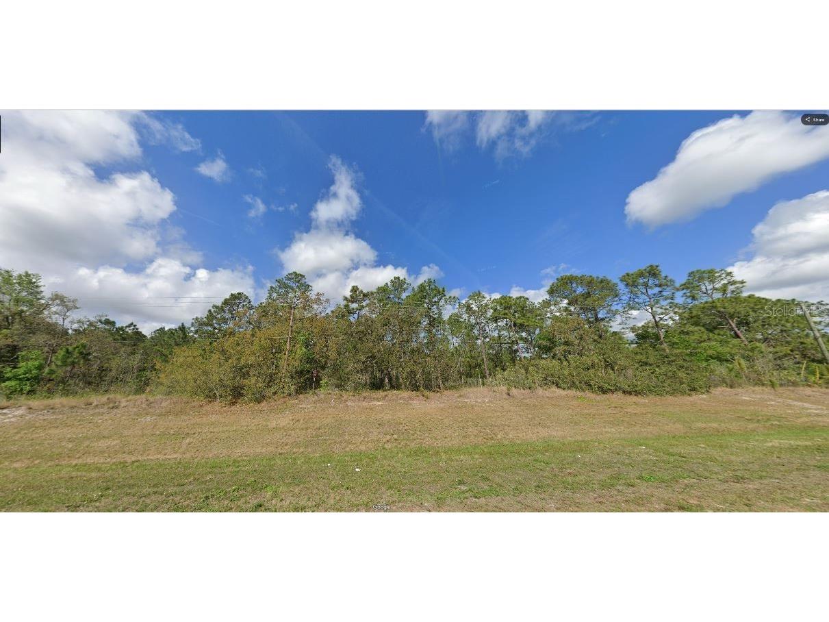 Commonwealth Ave N Polk City FL 33868 O6269069 image2