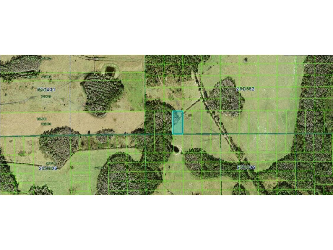 Commonwealth Ave N Polk City FL 33868 O6269077 image3