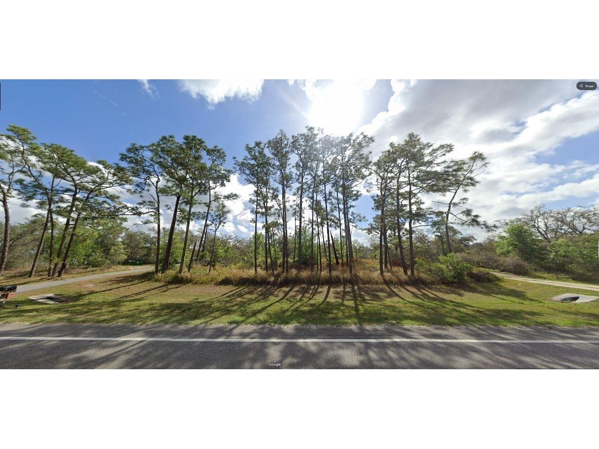 Commonwealth Ave N Polk City FL 33868 O6269865 image2