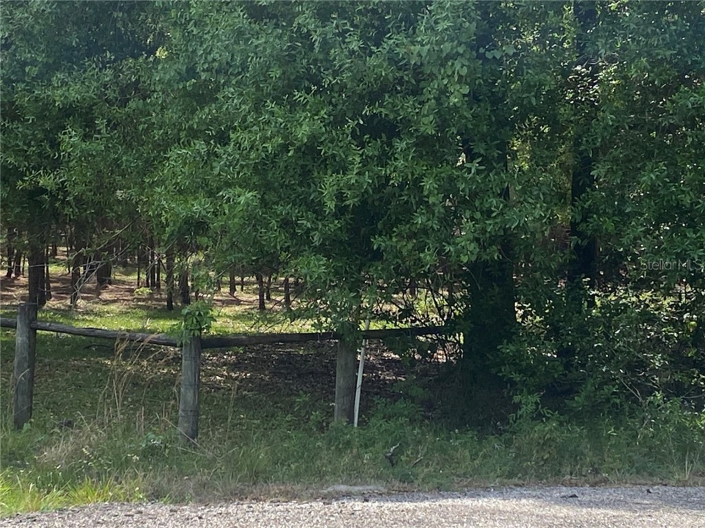 Commonwealth Avenue N Polk City FL 33868 G5065828 image1