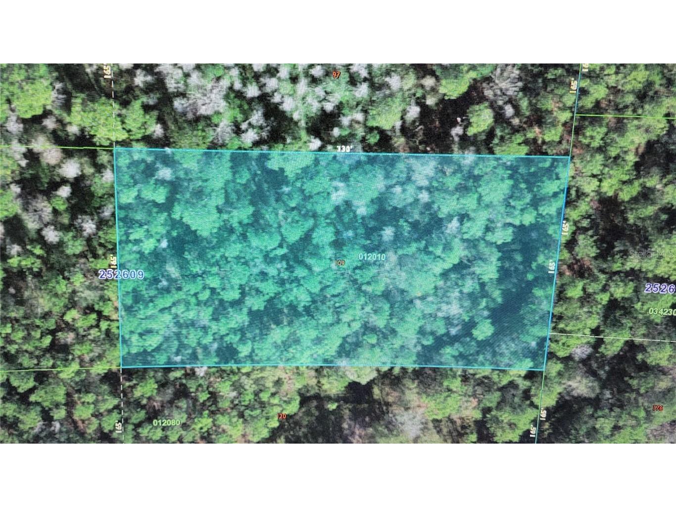 Commonwealth Avenue N Polk City FL 33868 S5107962 image1