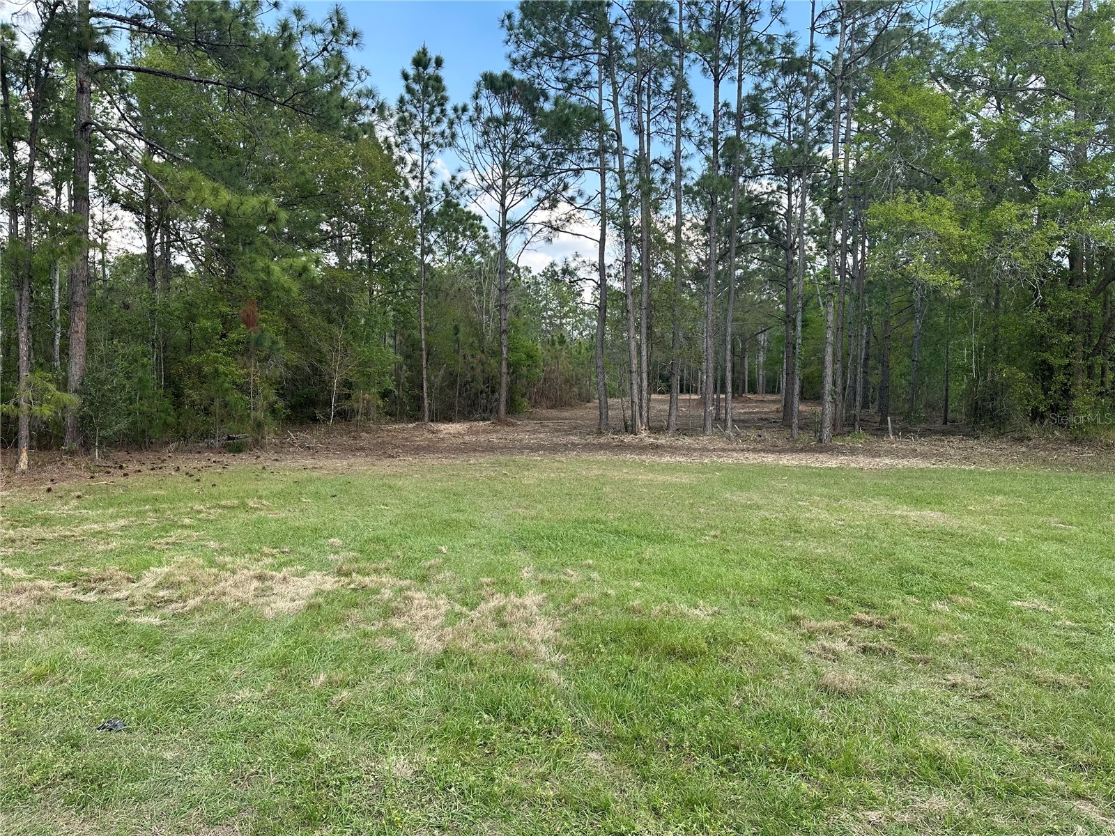Commonwealth Avenue N Polk City FL 33868 B4902226 image1