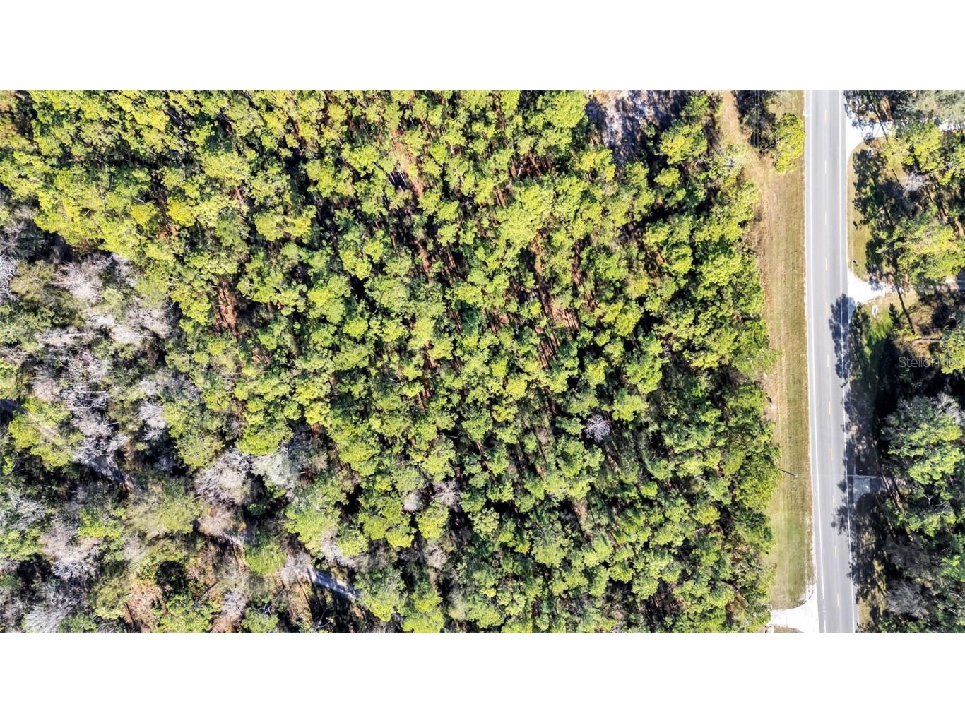 Commonwealth Avenue N Polk City FL 33868 L4958189 image3