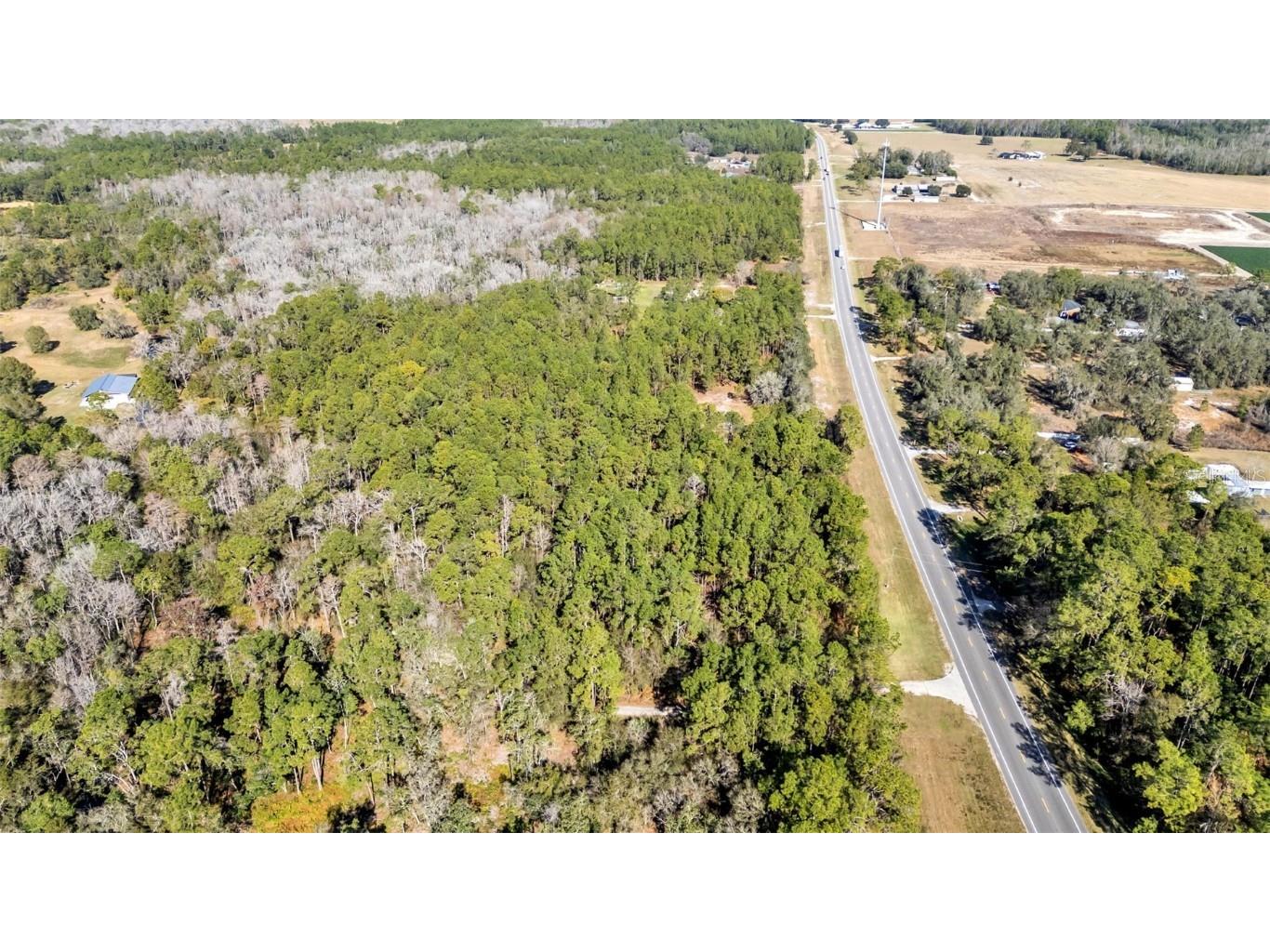 Commonwealth Avenue N Polk City FL 33868 L4958189 image4
