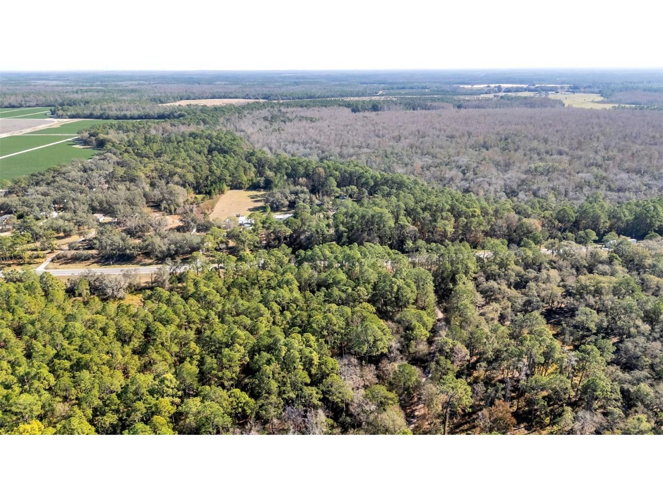 Commonwealth Avenue N Polk City FL 33868 L4958189 image6
