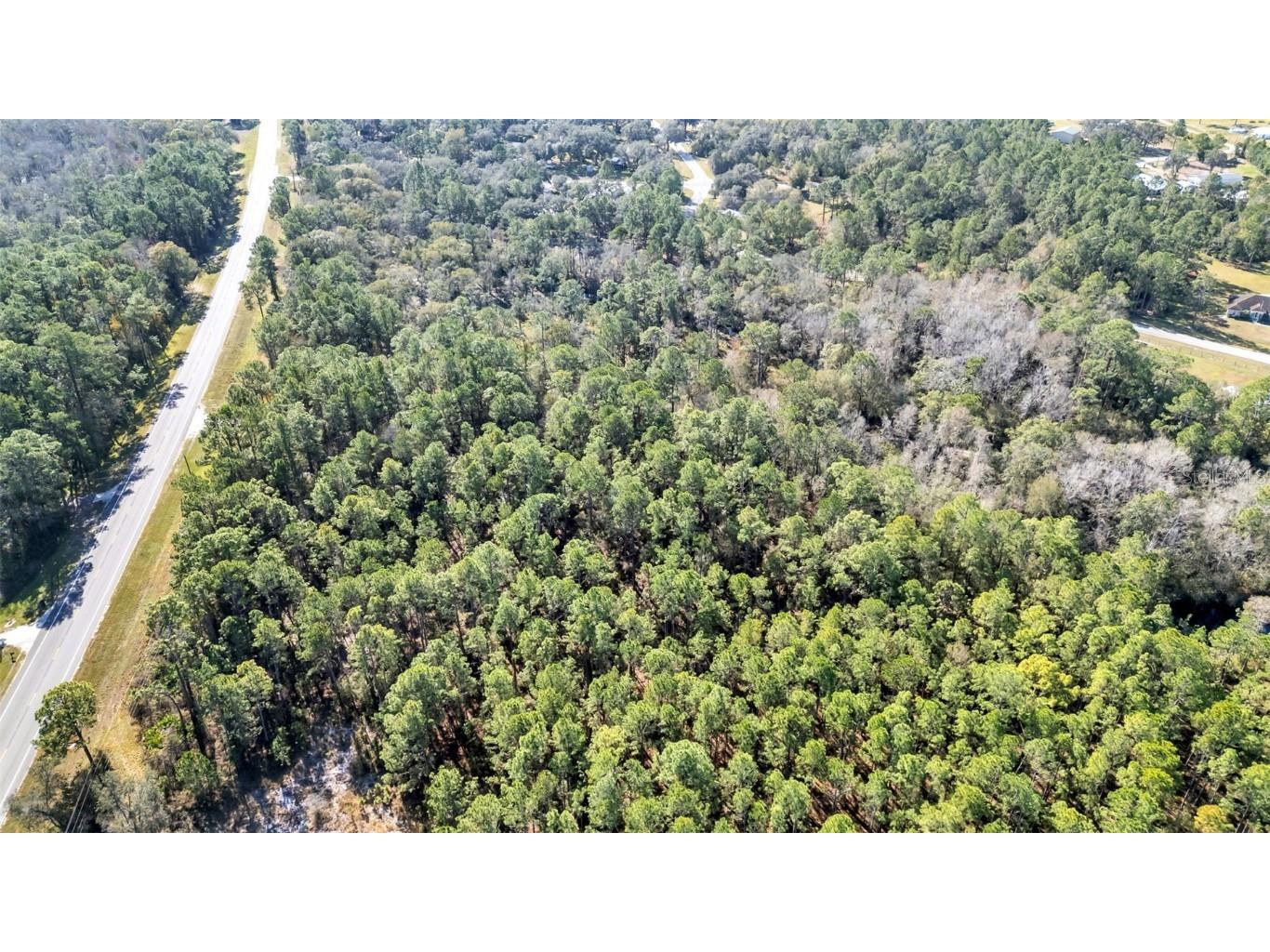 Commonwealth Avenue N Polk City FL 33868 L4958189 image8