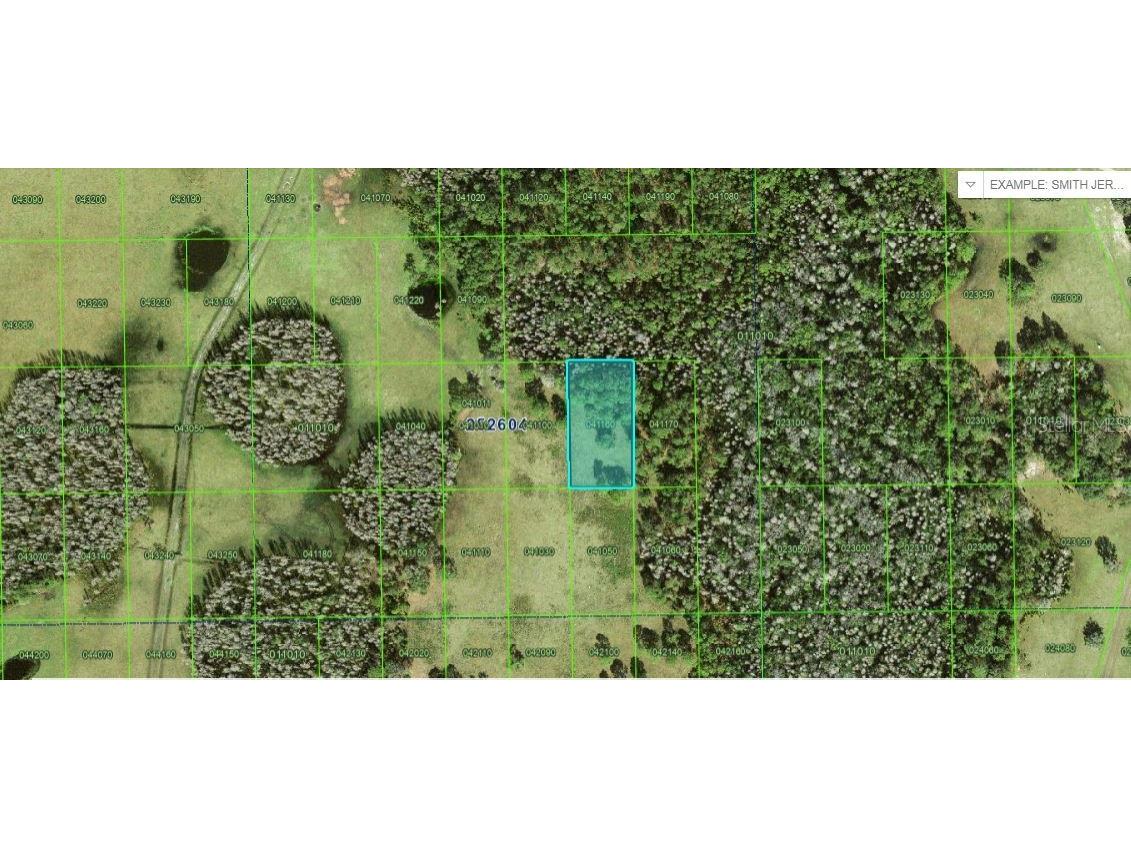 Commonwealth Avenue N Polk City FL 33868 O6227946 image1