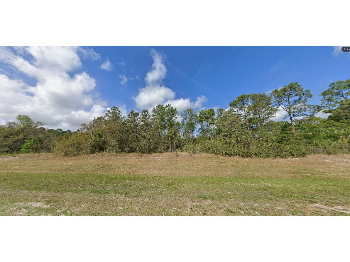 Commonwealth Avenue N Polk City FL 33868 O6265429 image2